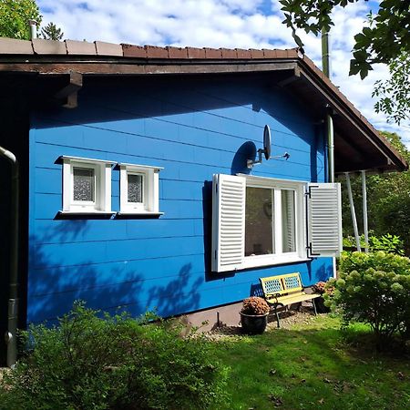Platell Ferienhausverwaltung Sankt Andreasberg Eksteriør billede
